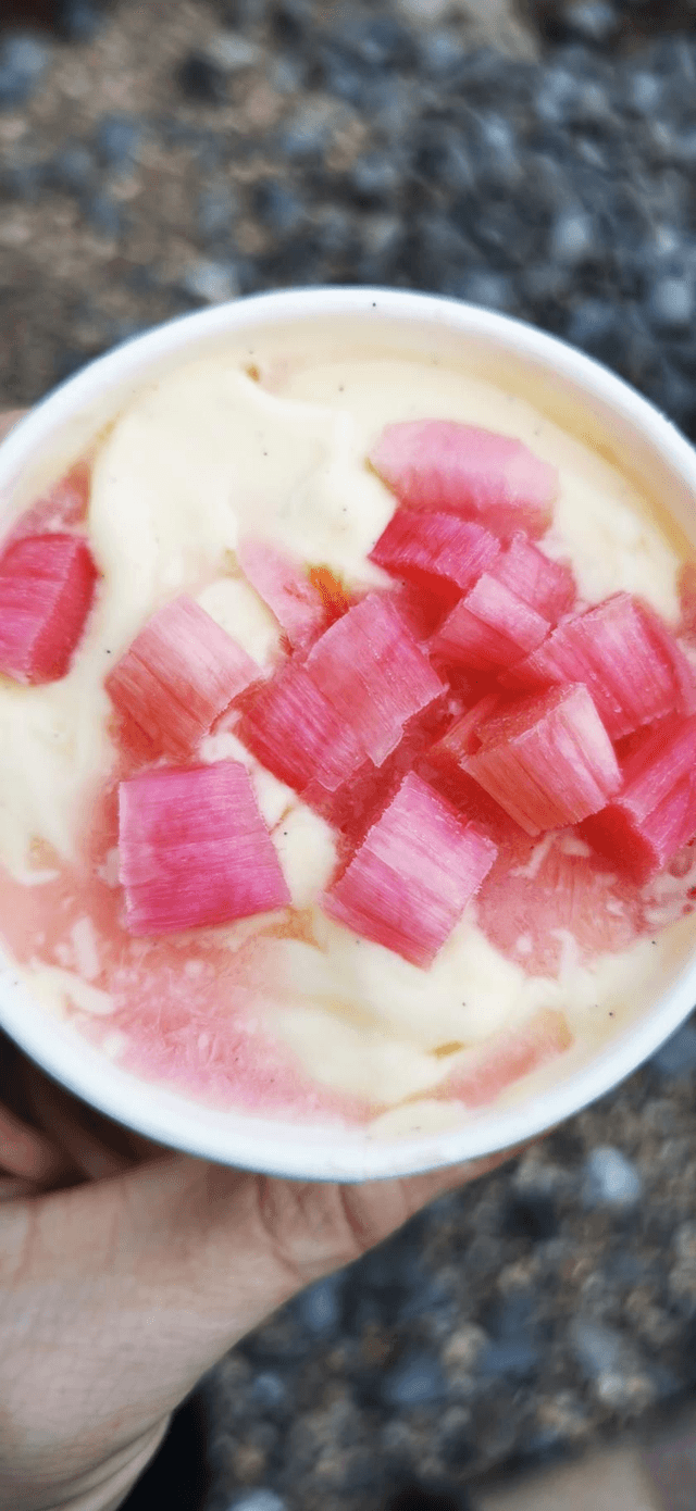 Rhubarb and custard