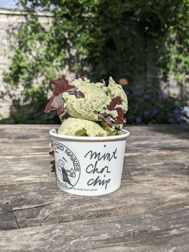 Mint Choc Chip