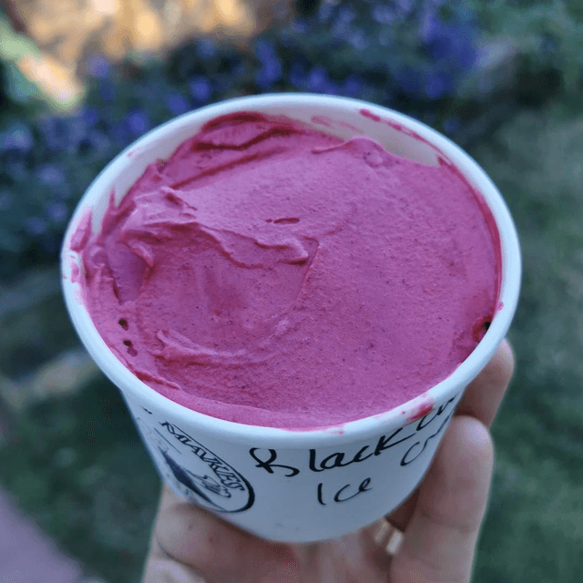 Blackcurrant Ice Cream